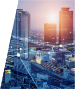 販売ネットワーク